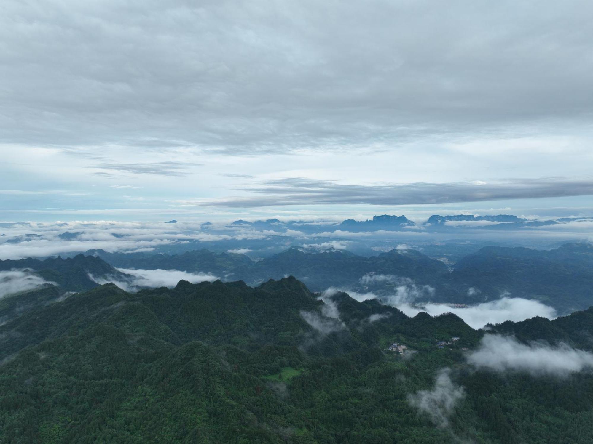 Homestay Serenity Valley - National Forest Park